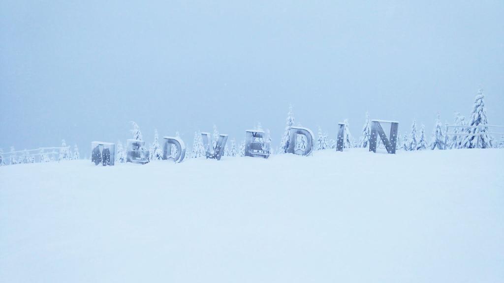 Medvedin 110