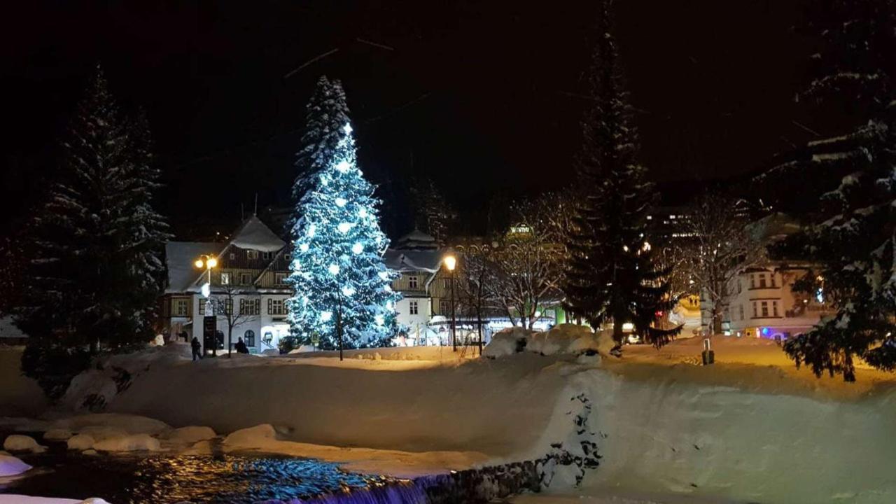 Medvědín 110 * Špindlerŭv Mlýn