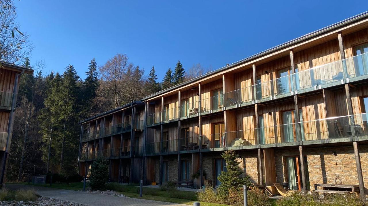 Apartmán Medvědín 110